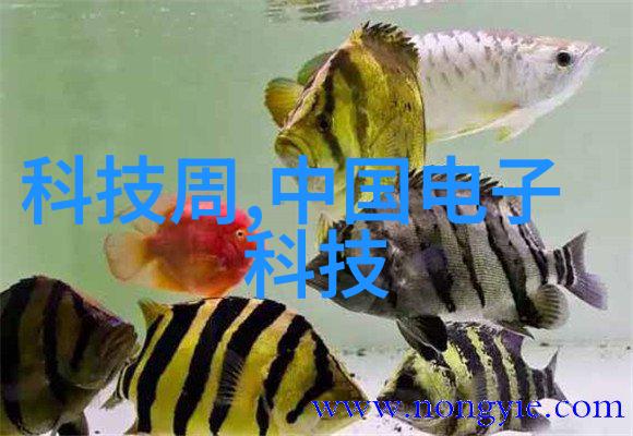 数码宝贝1国语版免费观看轻触屏幕开启数字奇幻之旅