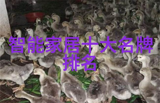 买房贷款-梦之家揭秘房贷利率申请流程与偿还策略