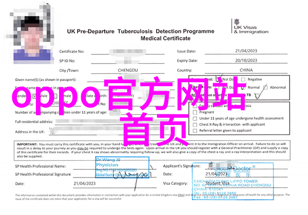 中国十年巨变简述从改革开放到全球化的华丽转身