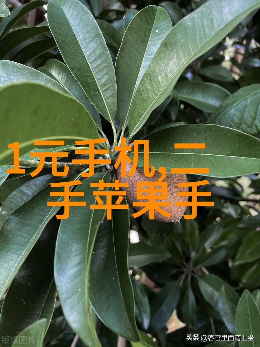 丽维家我的生活小屋