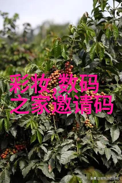 家居改装巧妙利用牙签制成实用的十字弩