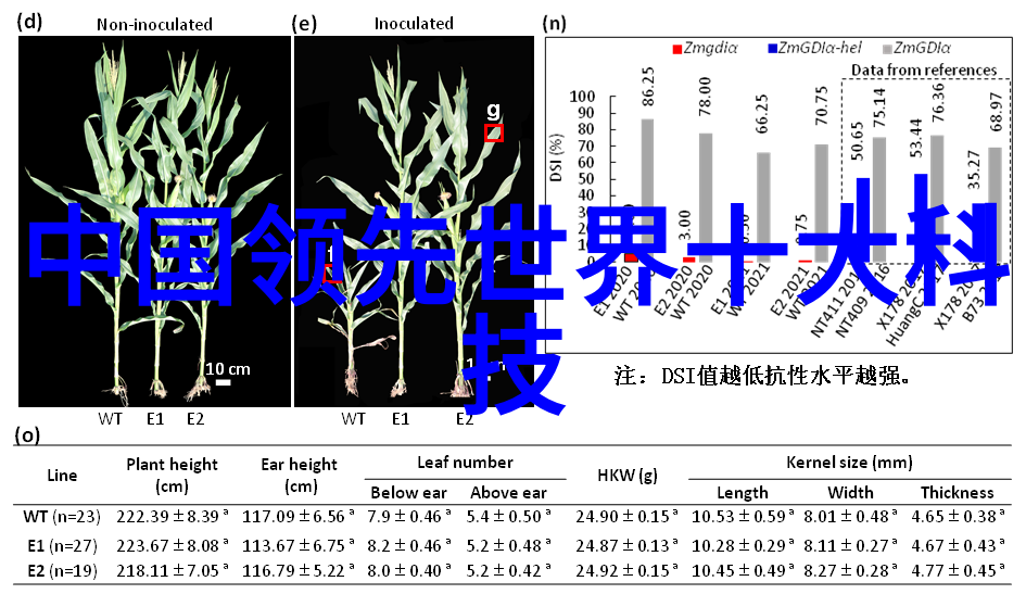 从租客到房奴我的买房奇幻之旅