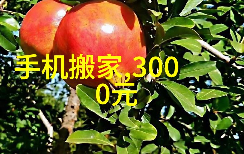 探究天玑9200芯片在智能手机中的应用及其技术特点