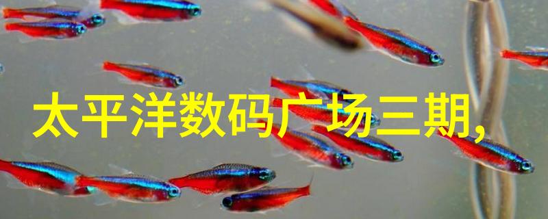 华为mate我心中的智慧小能手