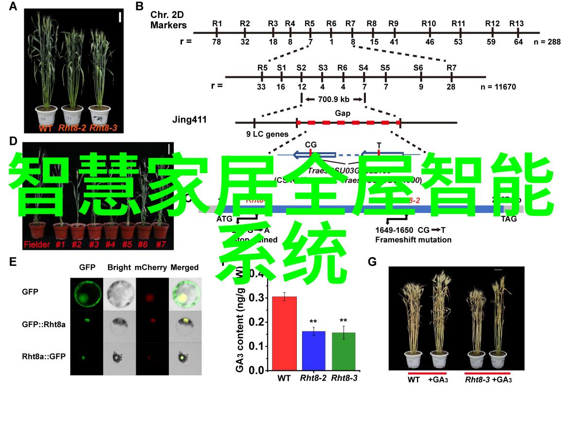 离心设备的分类与应用概述