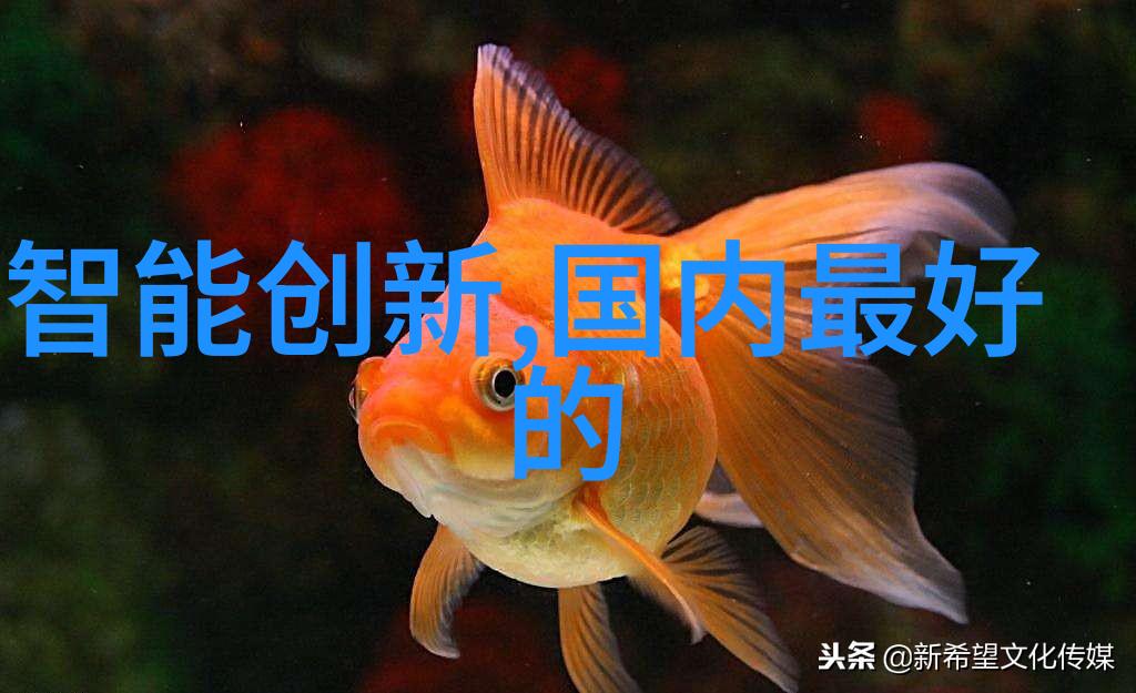 水电之冠激流下的工程奇迹