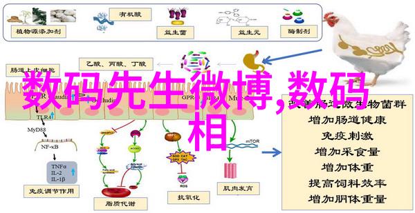 主题我是如何用一台小巧的油水分离器让饭店厨房更干净的