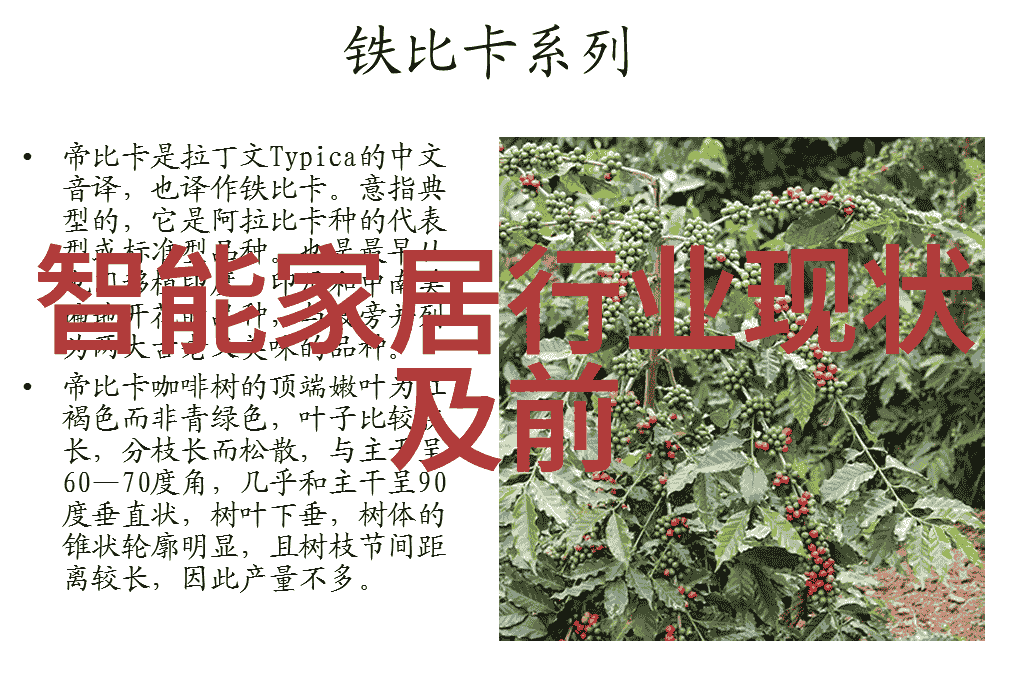 不锈钢矩鞍环填料规范解析