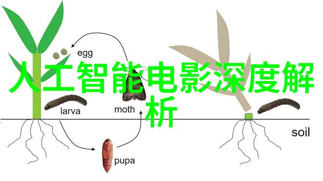 家居美学客厅装修样板图的创意解读与实用应用