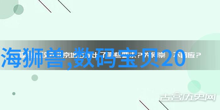 揭秘专业摄影摄像设备全集镜头相机光线与辅助器材的精选指南