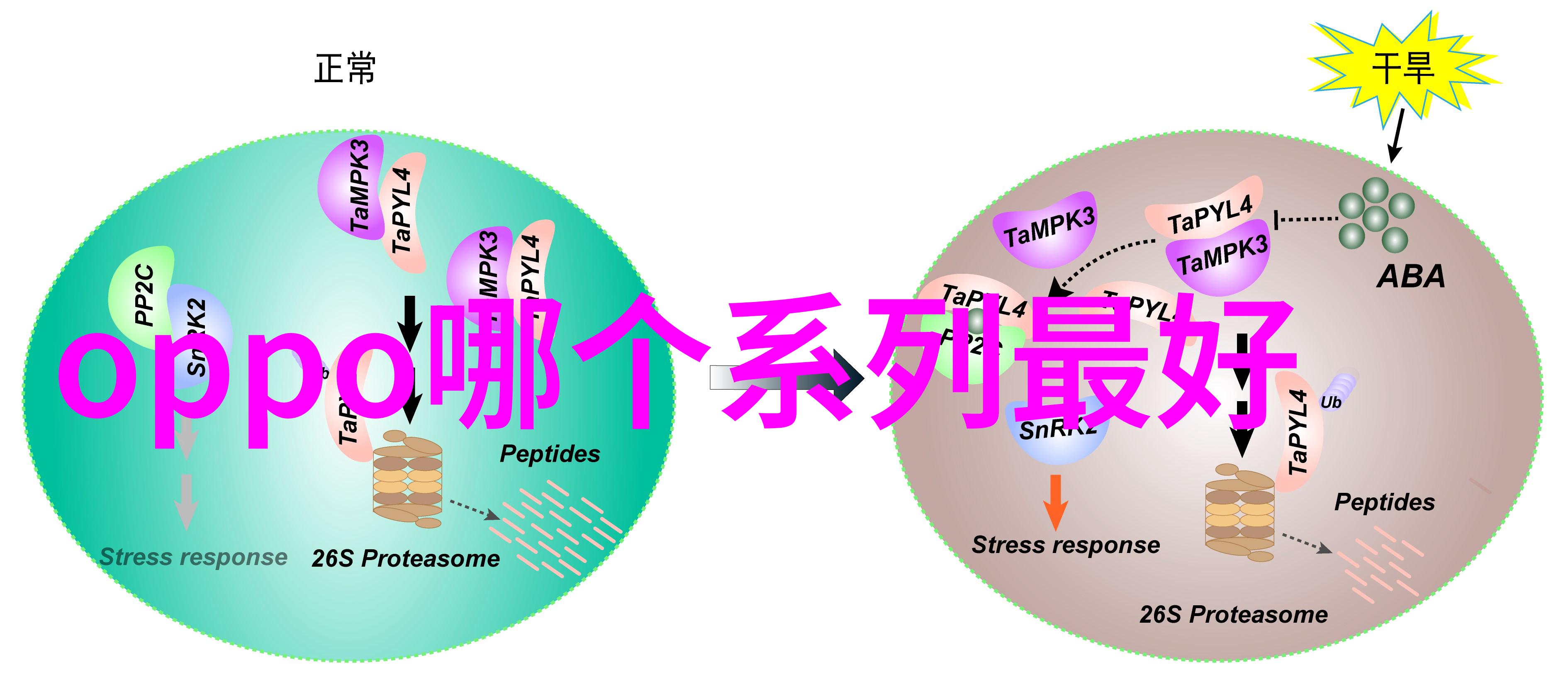 在日系风格中光线如何塑造人物形象