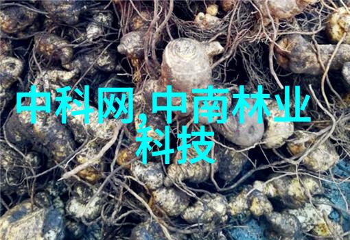 数码印刷展会2023我在这个数字化时代的盛宴上找到了灵感