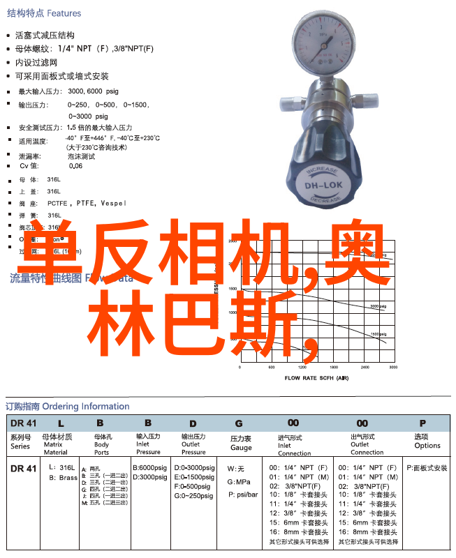 大客厅视觉艺术配置研究构建和谐空间美学的策略与实践