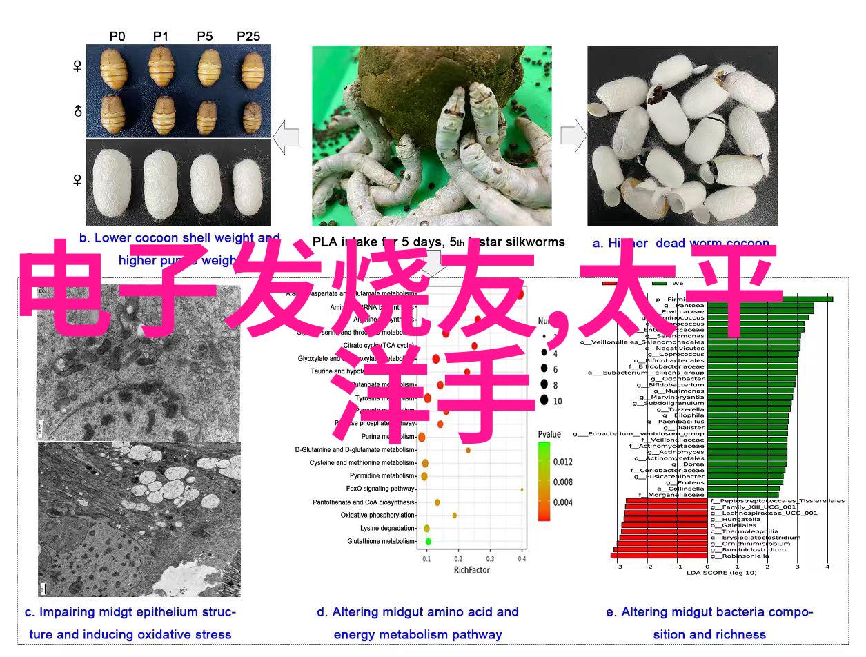 现场总线设备-实时数据传输与控制系统的关键组成部分