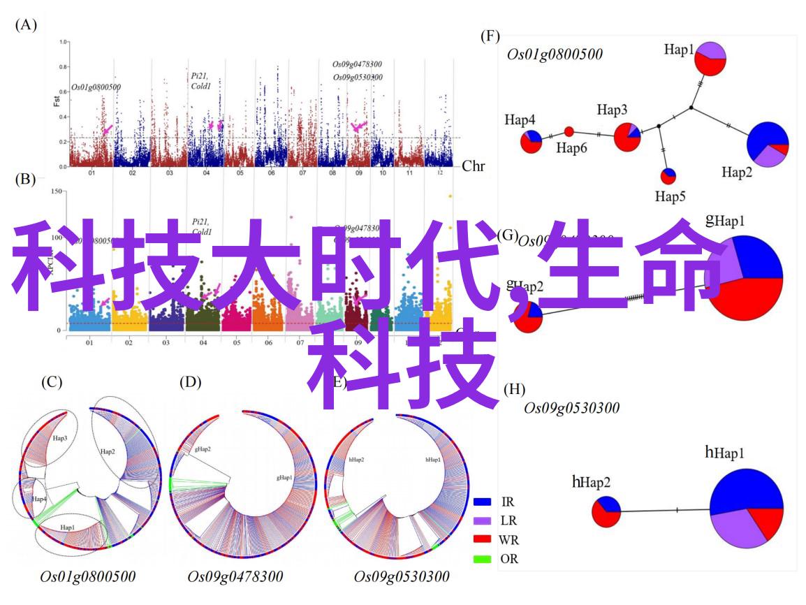 社区水源供应系统优化策略研究与实施