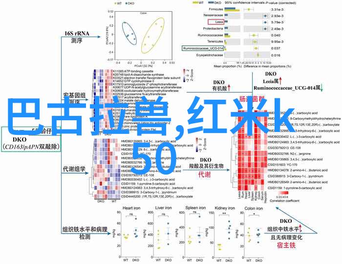 安卓应用宝库轻松获取最新安卓应用市场下载