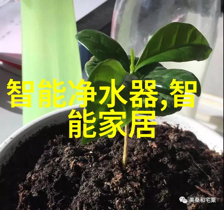 鄂州悲剧背后的社会隐患与法律漏洞探究