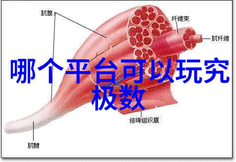 中兴商业创新驱动未来发展的战略伙伴