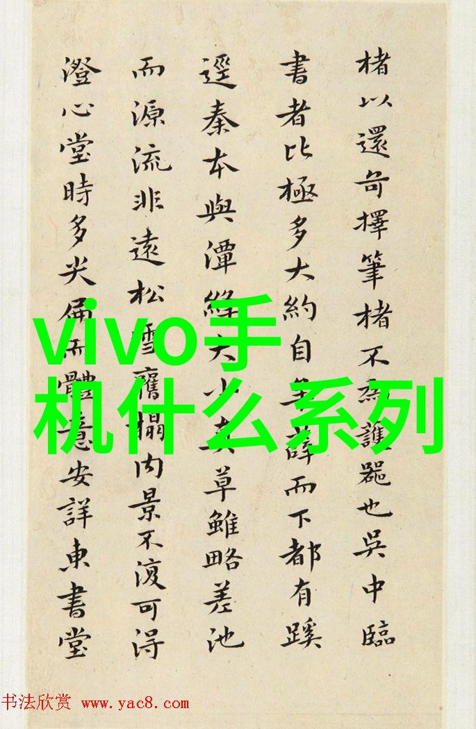 居家美学装修大师的精心布局