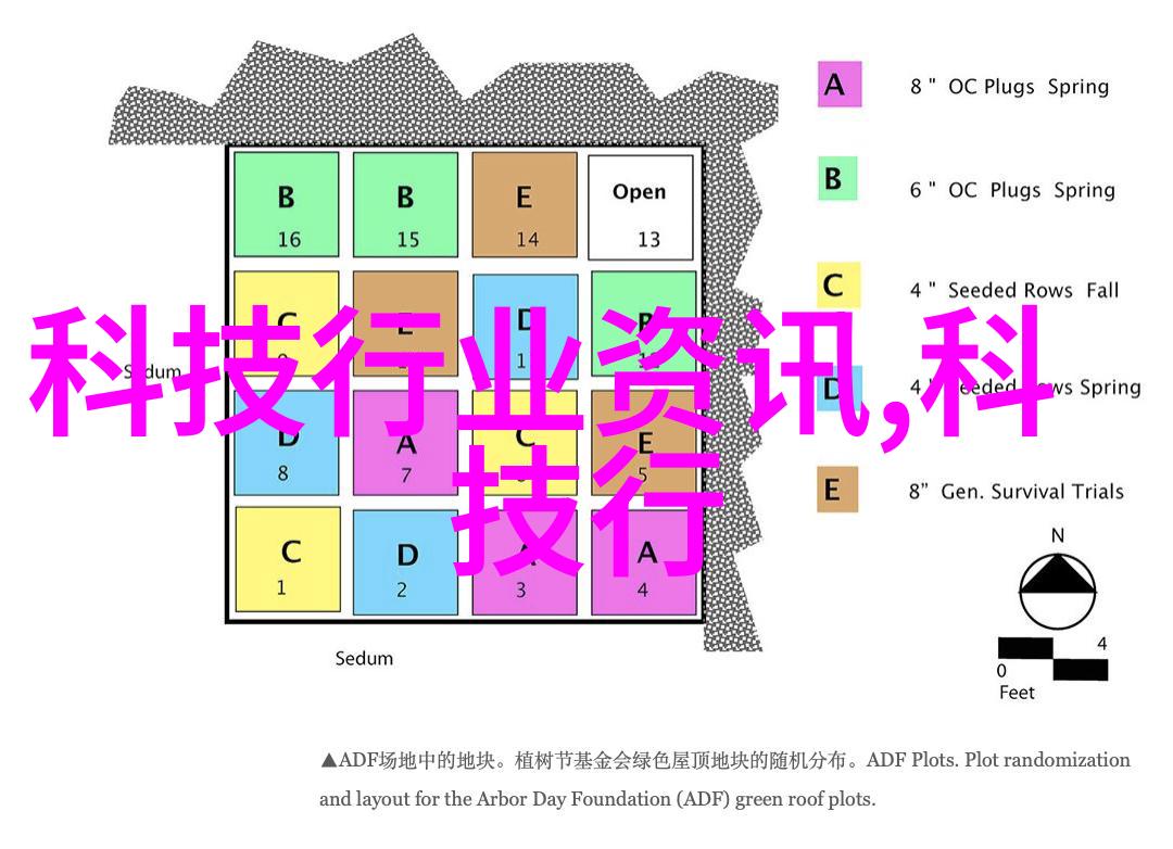 学会自我保护与寻求外界帮助平衡个人独立与依赖