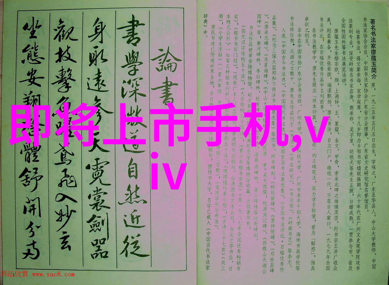 数码宝贝1国语免费观看下载数码宝贝的精彩国语版本免费观看与下载方法