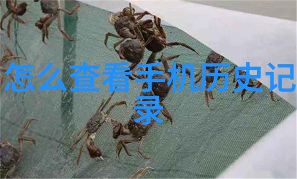 火焰与铁甲消防设备的传奇守护者