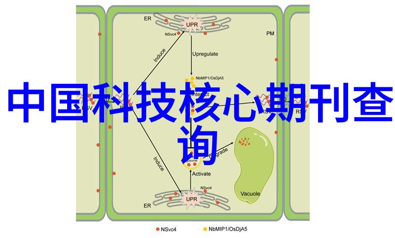 小户型大变革50平米的装修奇迹