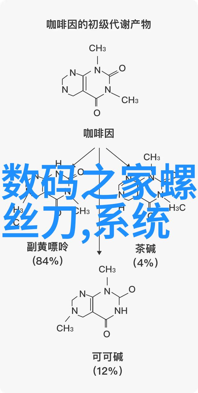 传统与创新现代婚礼中使用的非传统玫瑰花语