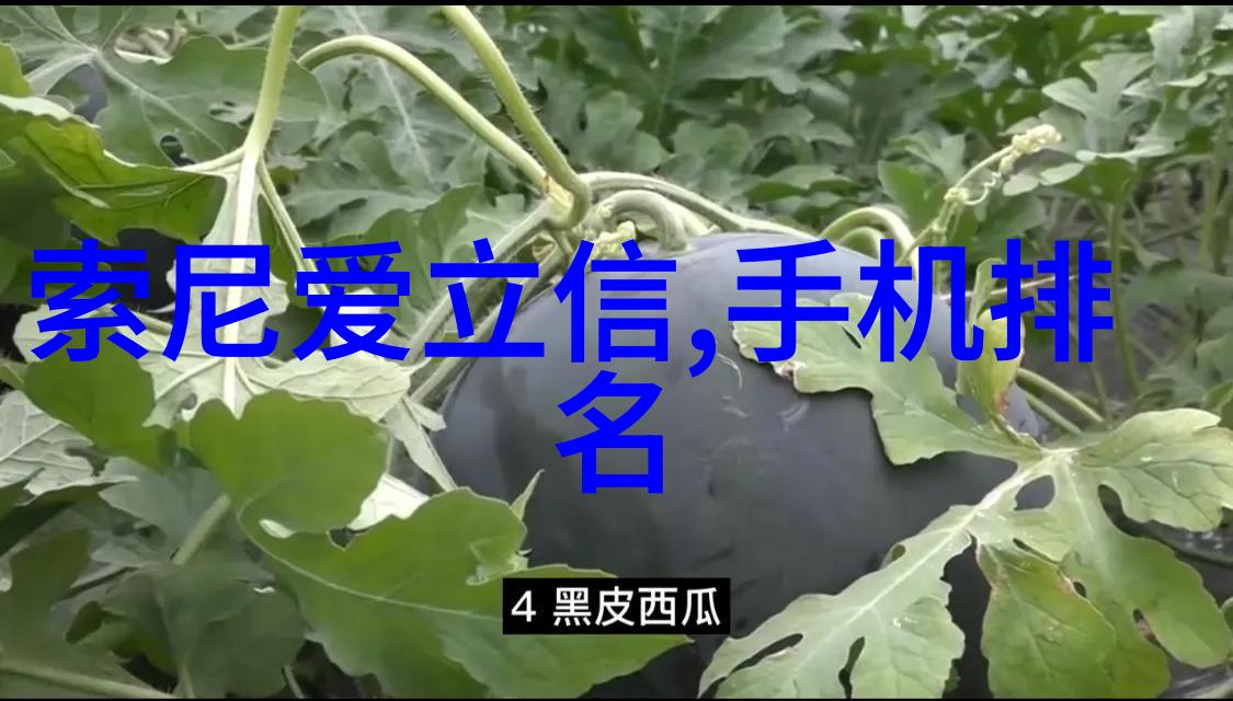 华联帝国的阴影世纪华联与华联股份之间的秘密较量