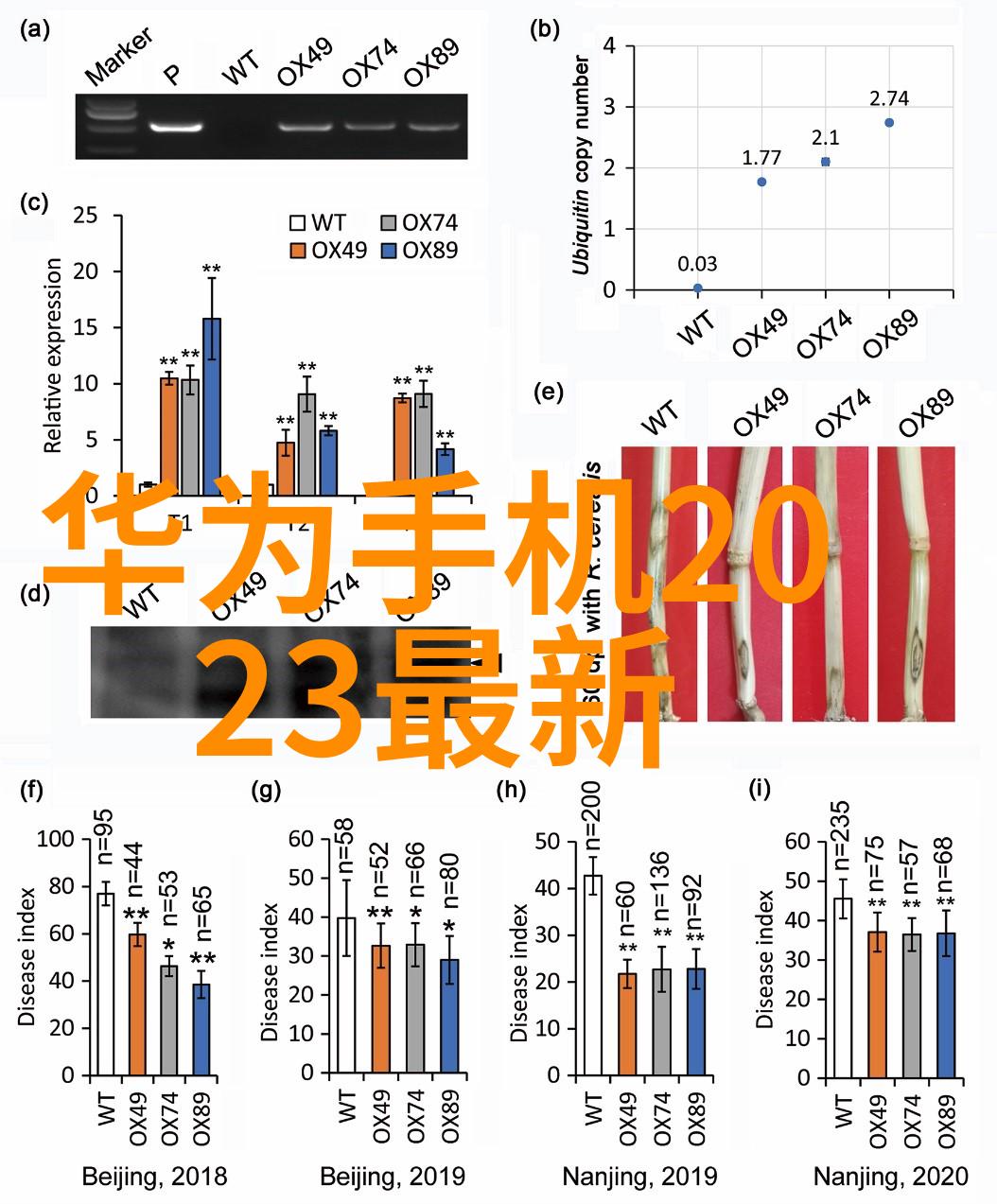 高效筛选机精准分选的关键技术与应用