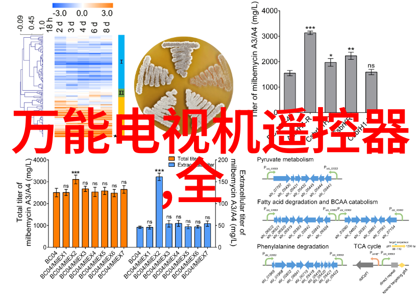 医疗健康新纪元智能医疗服务带来的变革