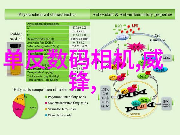 房产梦想踏上贷款之路的智慧探索