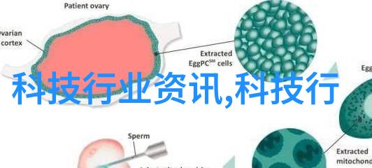 人机融合时代脊椎外骨骼和增强器官