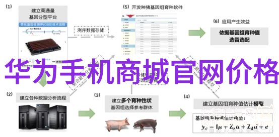 乡村风情客厅装修指南