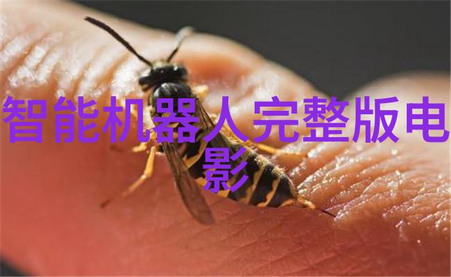 从零到精通探索学摄影的时间与技巧