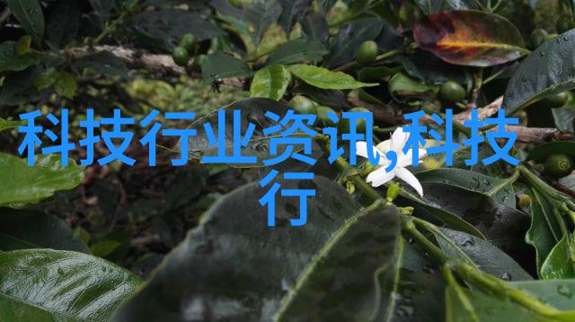 狗尾巴草的花语又在讲什么V2-40-BR2-A10-T12-90176CN气缸Tunkers德珂斯操