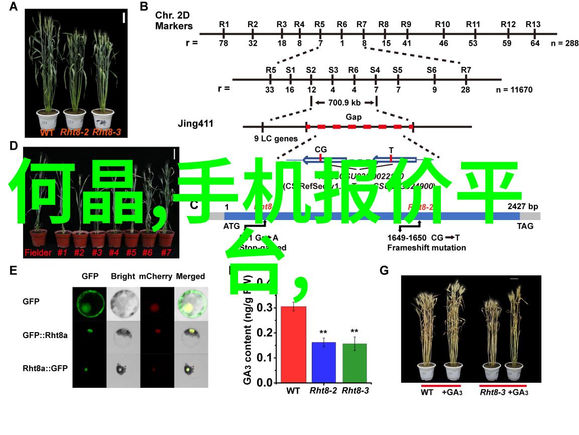 为何许多人选择在主卧室应用大面积单色调来营造氛围感