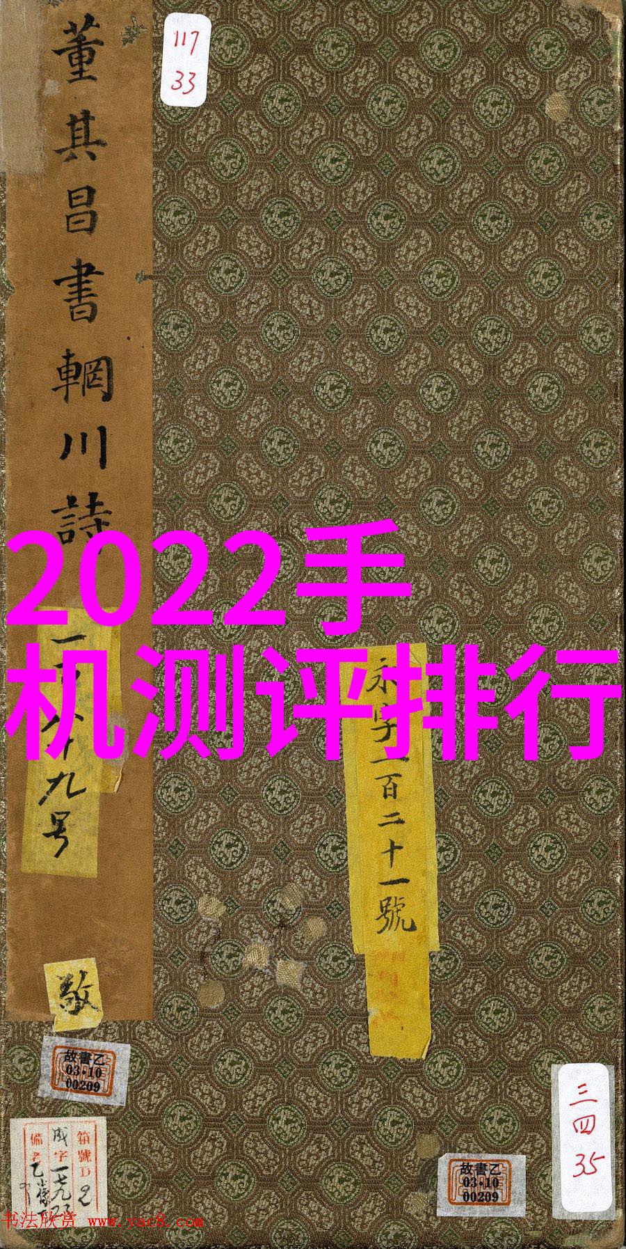 2022全国青年摄影大赛我是如何成为青春的镜头我的征程与成长