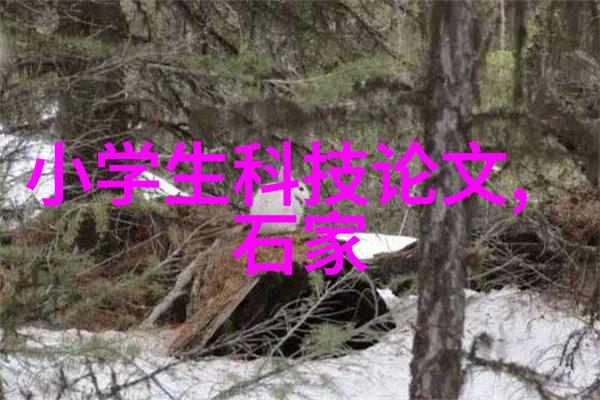 摄影技巧-索尼A7R2拍摄艺术解锁全像素读取的无限潜力