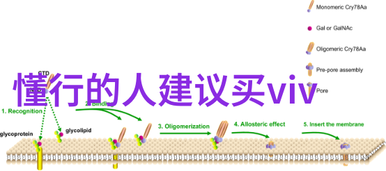 什么是裸条借贷10G女大学生裸条照片视频压缩包资源从何而来