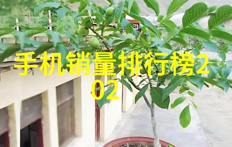 学长轻插一支笔解题妙法学长的智慧与教学