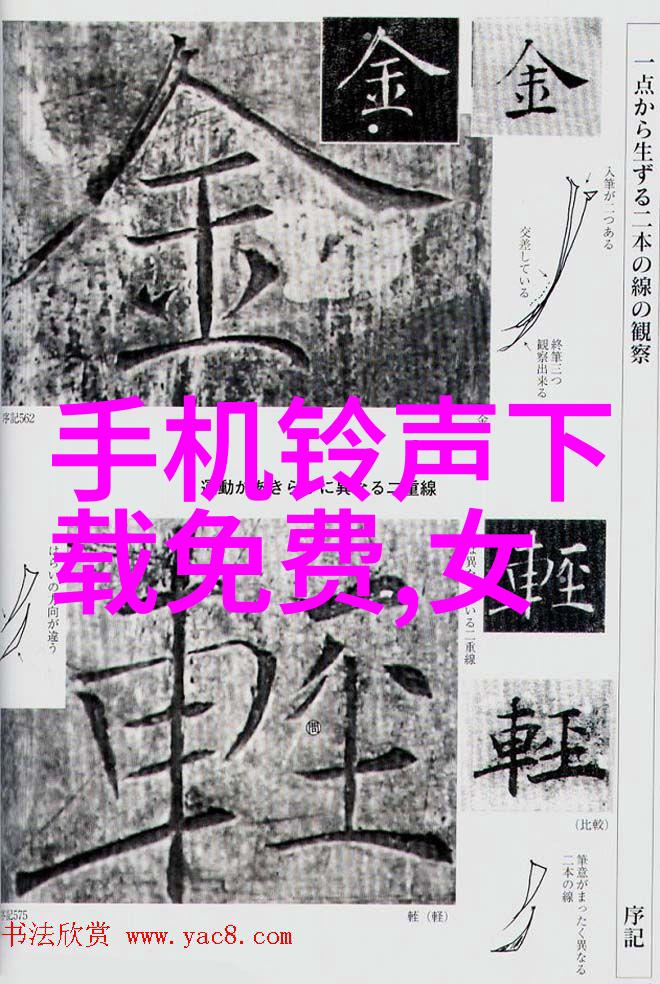 尼康D500捕捉瞬间的专业级数码单反相机