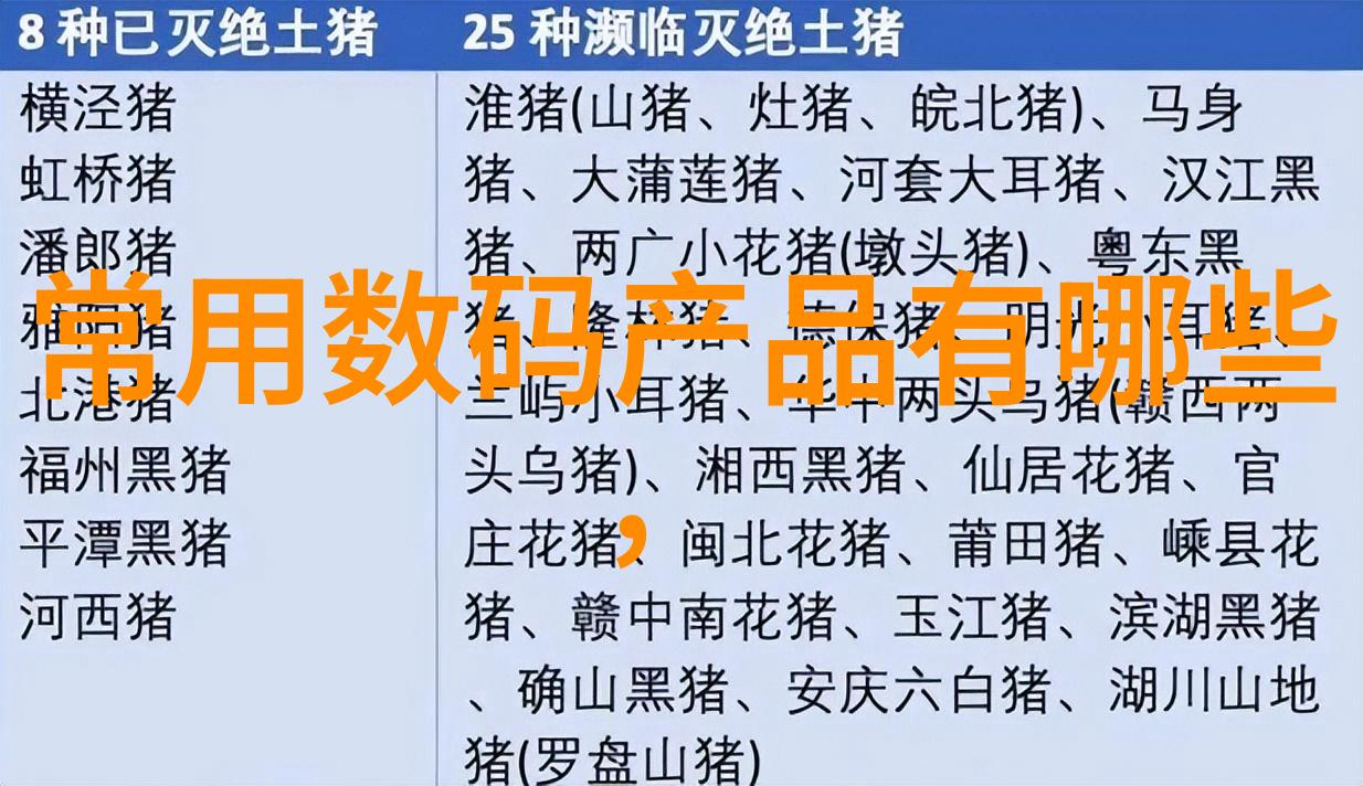 网络科技有限公司连接未来创造价值的数字化伙伴