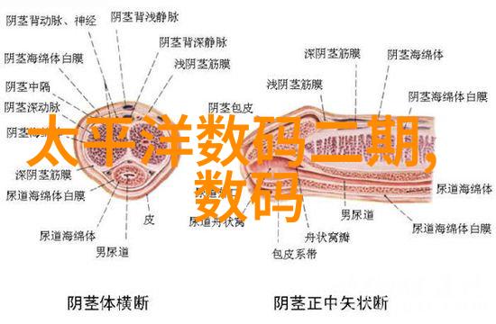 客厅餐厅一体化生活空间设计家居美学融合