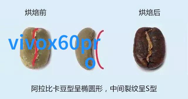 简易装修指南如何制定一个高效的施工方案