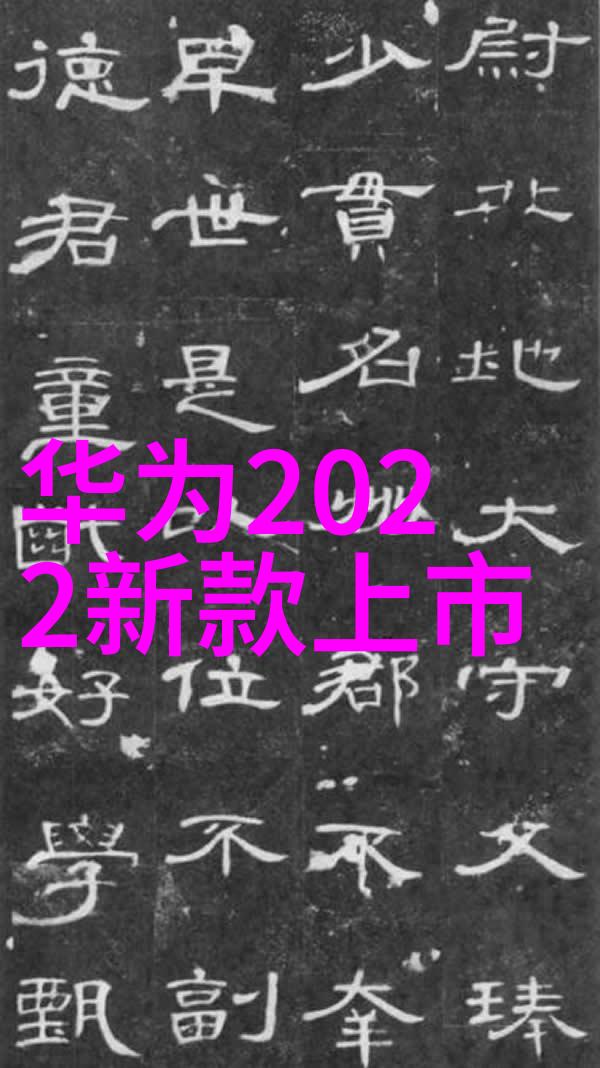 新中式家庭装修风尚古典韵味与现代感的完美融合