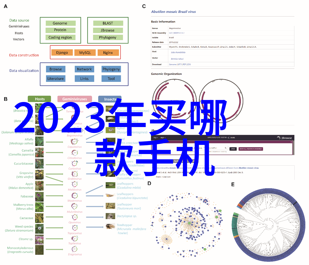 在没有详细设计的情况下如何合理分配水电工程预算资金