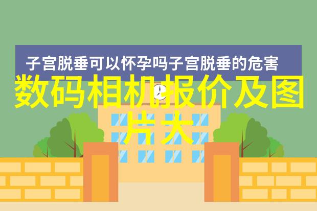 有限责任公司的运营优势与挑战