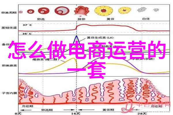 我和主材的故事从选材到装修我是怎么挑出最合适的伴侣