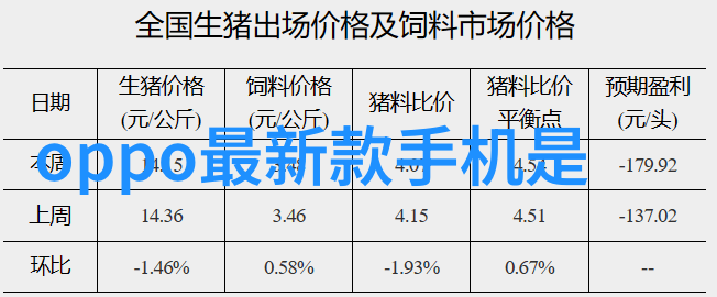 房地产投资的智慧之门揭秘买房子要注意的事项